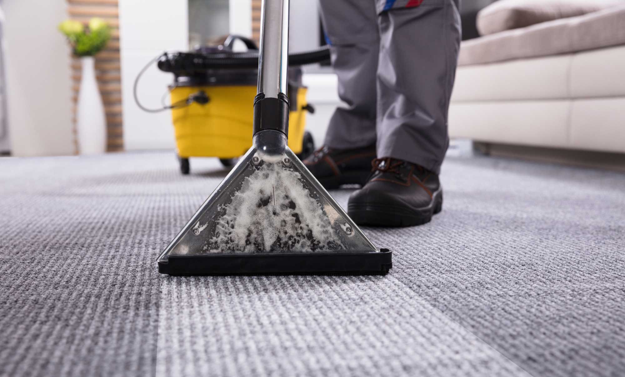 carpet-cleaning-web